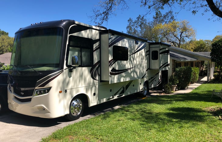 Big Mama in my driveway waiting for her next family.