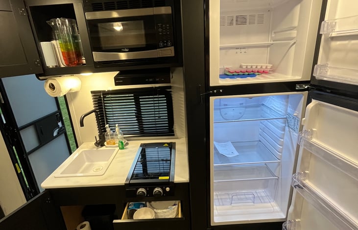 Sink, 2 burner cook top and large fridge