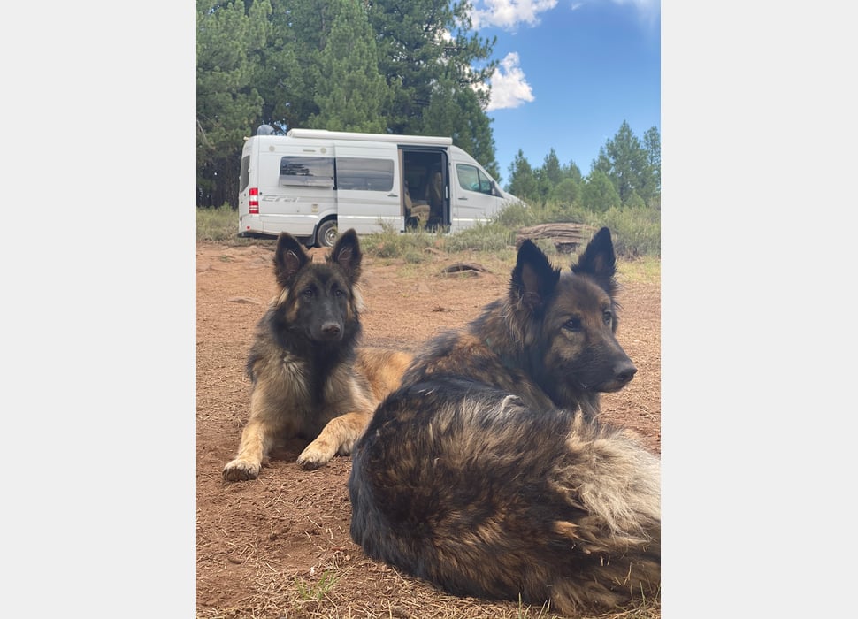 Class B Camping Van rentals in Sunnyvale