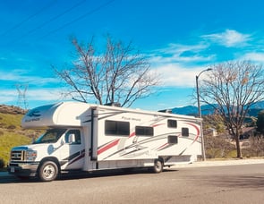 Thor Motor Coach Four Winds 31EV