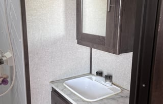 Pet friendly 2021 lantern