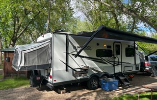 2022 Shamrock Hybrid