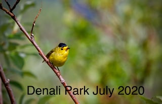 Alaskan Prospector 31J Winnebago.