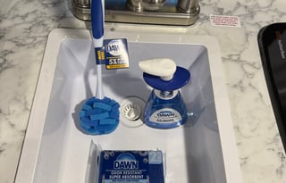 Rosentom, 2024 Dutchmen RV Coleman 17B