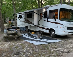 Forest River RV Georgetown 341DS