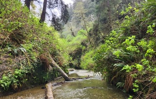 4WD All-Season "Judy" UNLIMITED MILES + Starlink