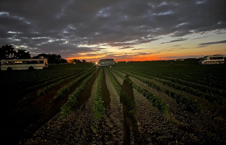 Beautiful sunset in FL, van is straight ahead.