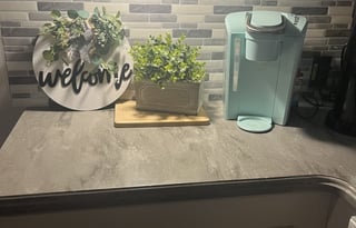 Scot and Alisa's Cougar Rental