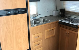 2009 Carson Fun Runner FC202 Goose Wagon