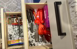 Travel with Birdie - Your Adventure Awaits!