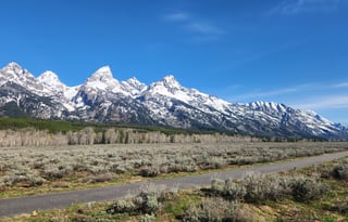 4WD All-Season "Rosie" UNLIMITED MILES + Starlink