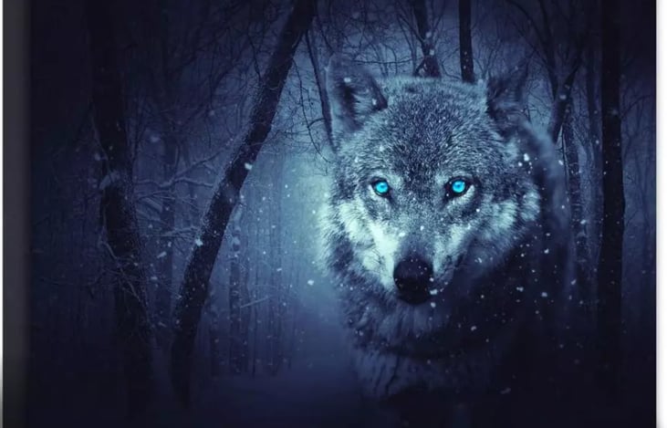 Dinette Wolf Decoration