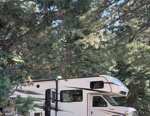 Forest River RV Sunseeker Classic 3010DS Ford