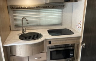 Roomy and sleek: 2020 Forest River RV R Pod RP-196