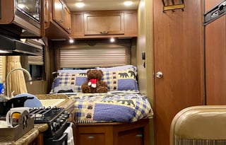 Sugarbear 5 - Cute & Easy to drive