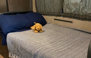 Sassy has all you'll need but your food & clothes!