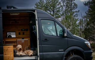 Mercedes-Benz "Iron Horse" Sprinter 2500 4X4