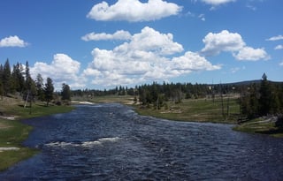 4WD All-Season "Judy" UNLIMITED MILES + Starlink