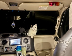 Thor Motor Coach Outlaw 29J