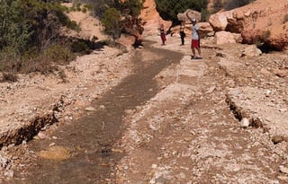 2014 Thor Motor Coach Four Winds 22E