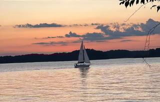 LUX & COZY Grey Wolf Black Label Edition