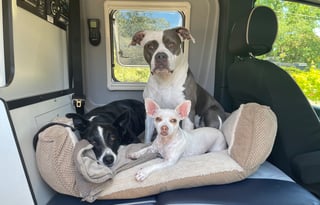 "Odin" - Ultimate Off-Road Adventure Companion