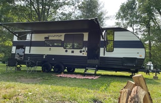 The Wolf Pup Experience