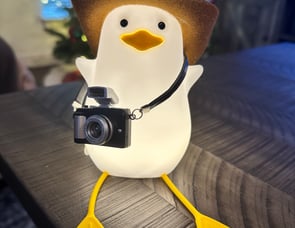 Forest River RV Sunseeker 2290S Ford