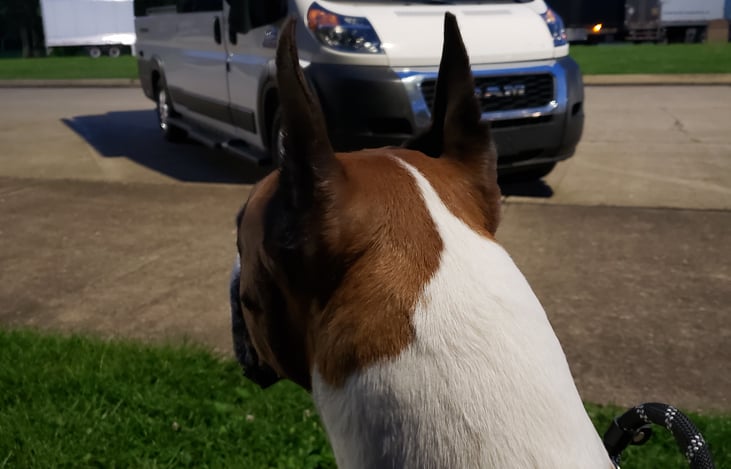 Great customers, even their dog loved looking at this RV.
