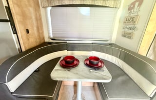 Luna the Leprechaun -2021 Coachmen RV Leprechaun