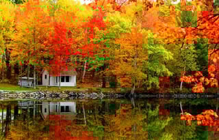 Luxurious RV for 2025 - Thor Motor Coach - ACE