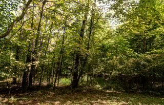Secluded Luxury Camper in the Woods