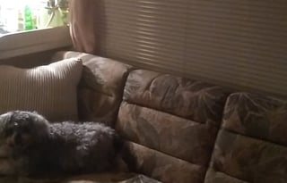 2001 Coachmen RV Mirada m300 qb