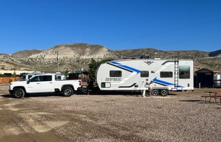 The D Fox- Big Comfort, Big Adventures!