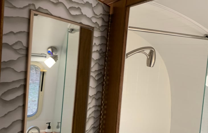 bathroom mirror on door and showerhead