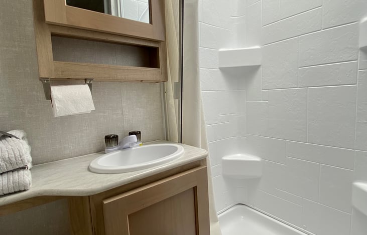 Bathroom sink and shower