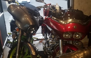 Fun Fun Fun in the Sun