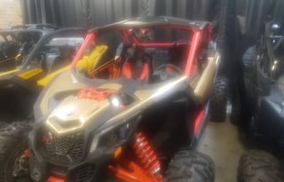 Fun Fun Fun in the Sun