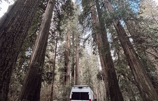 sunni the van -pet friendly | hot water | spacious