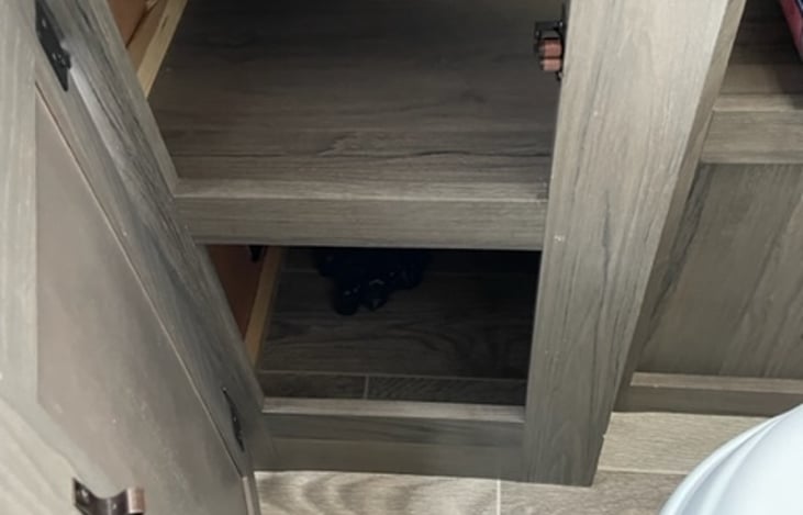 Under sink storage in the bathroom.