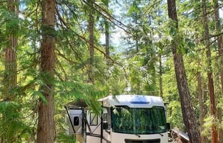 Rocky Mountain Forest River | Luxury | Vegas
