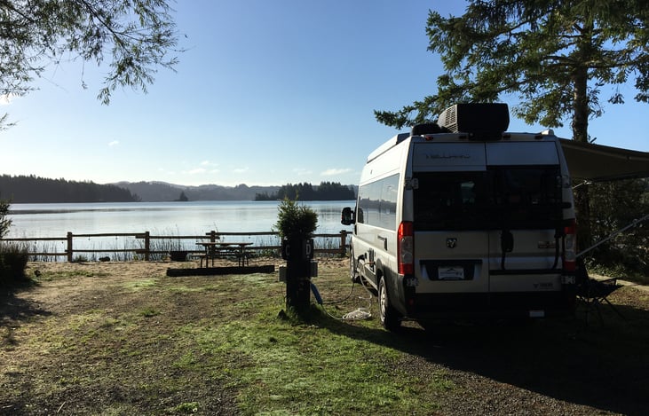 Mini Magnolia at the lake.