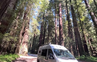 2026 Thor Freedom Elite 17D Pet Friendly Van