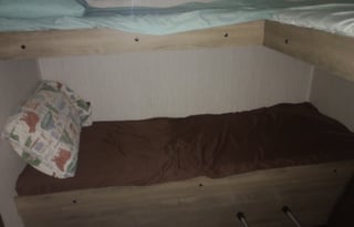 Zwisle's Galloping Palomino