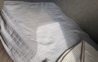 Micro Minnie Oasis: Your Perfect Road Companion