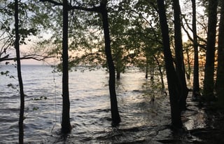 2018 Forest river Sierra 379FLOK