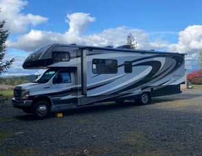Forest River RV Sunseeker 3050S Ford