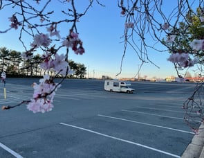 Toyota Pickup Escaper