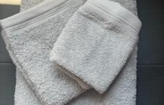 2023 Wildwood FSX 174BHLE Limited edition