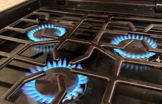 Pet, Family, Party Friendly. House on wheels